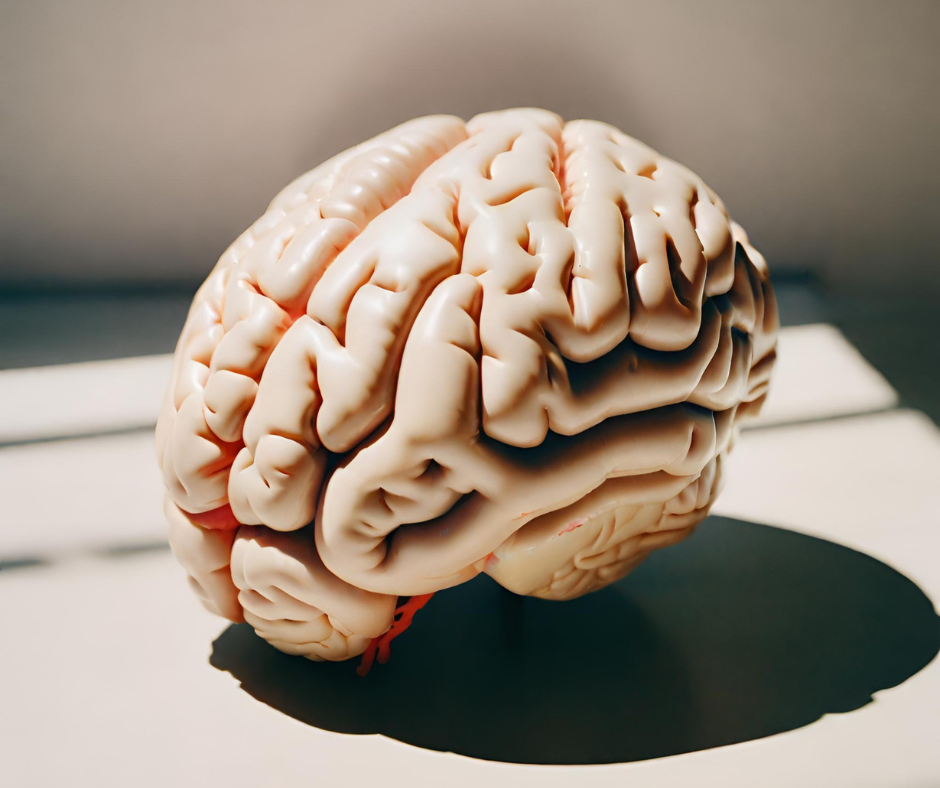 Neuroplasticity Changes Help Migraine
